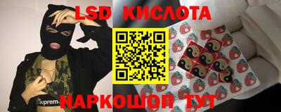 a pvp Бердск
