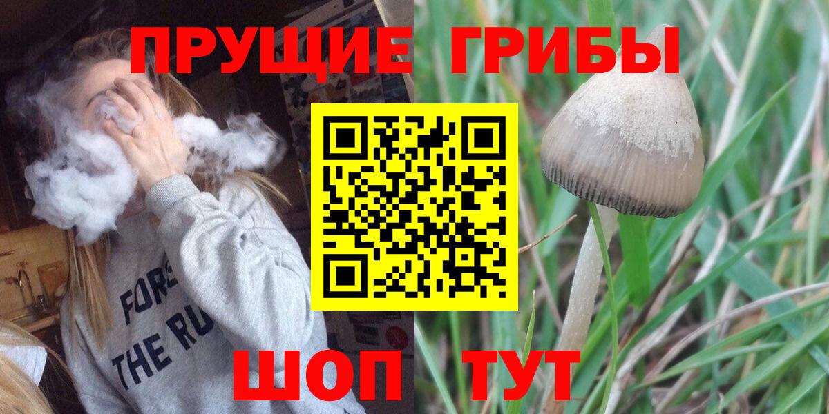 Галлюциногенные грибы Psilocybe Коркино