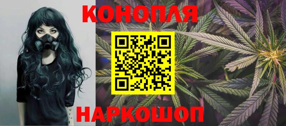 Конопля гибрид Коркино